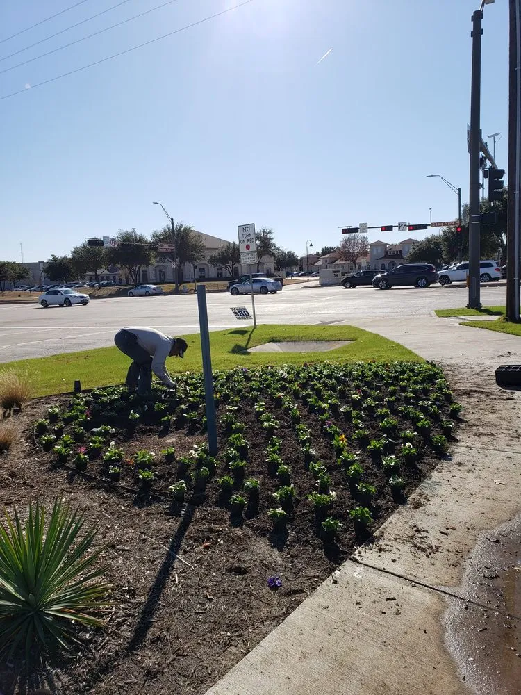 Professional landscape design experts serving Fort Worth, TX - The Crazy Grass Guy