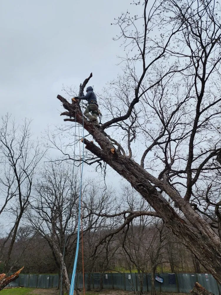 Custom yard maintenance in Elgin, TX - The Crazy Grass Landscape Services