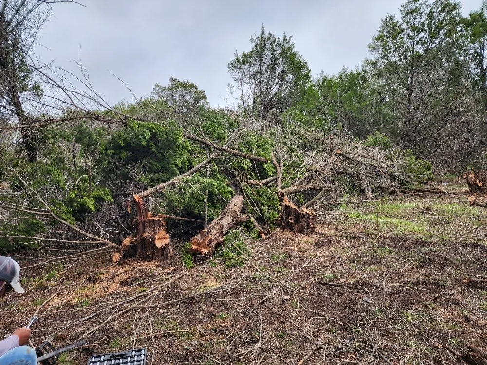 Local landscape installation for beautiful yards in Elgin, TX by The Crazy Grass Landscape Services