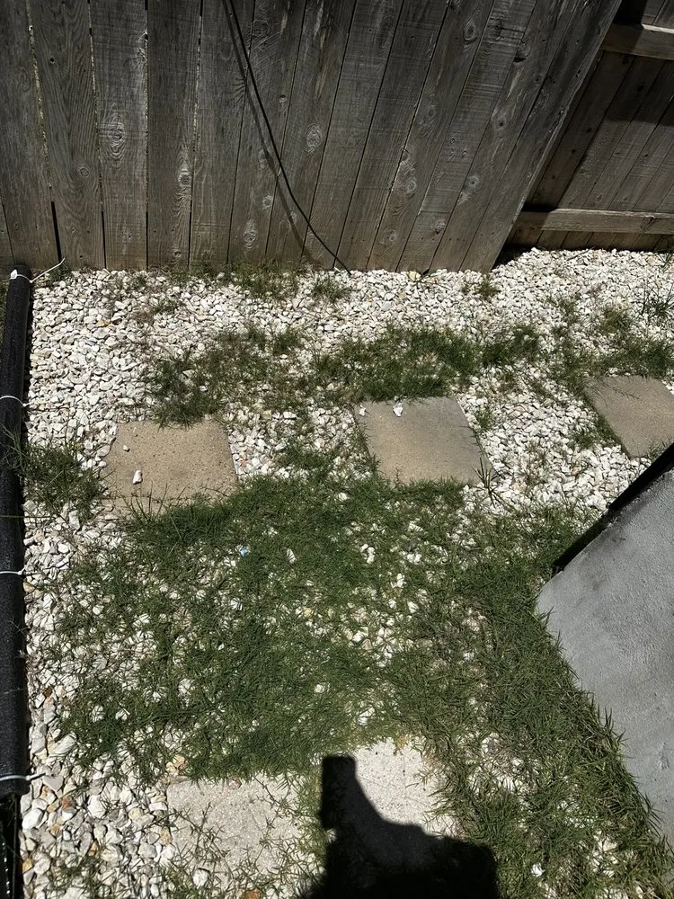 Trusted lawn mowing service experts serving Elgin, TX - The Crazy Grass Landscape Services