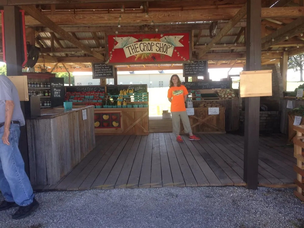 Affordable lawn care service with custom design in Bowling Green, KY by The Crop Shop