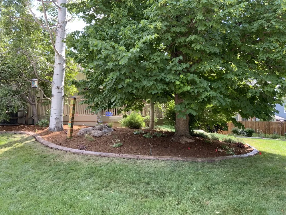 Professional lawn care service for year-round maintenance in Commerce City, CO by The Curb and I Solutions