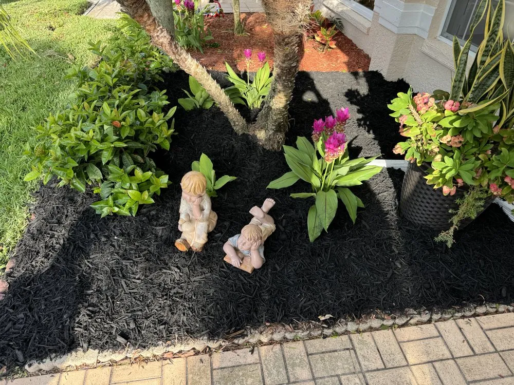 Top-rated outdoor landscaping in Tampa Bay, FL by The Curb Appeal