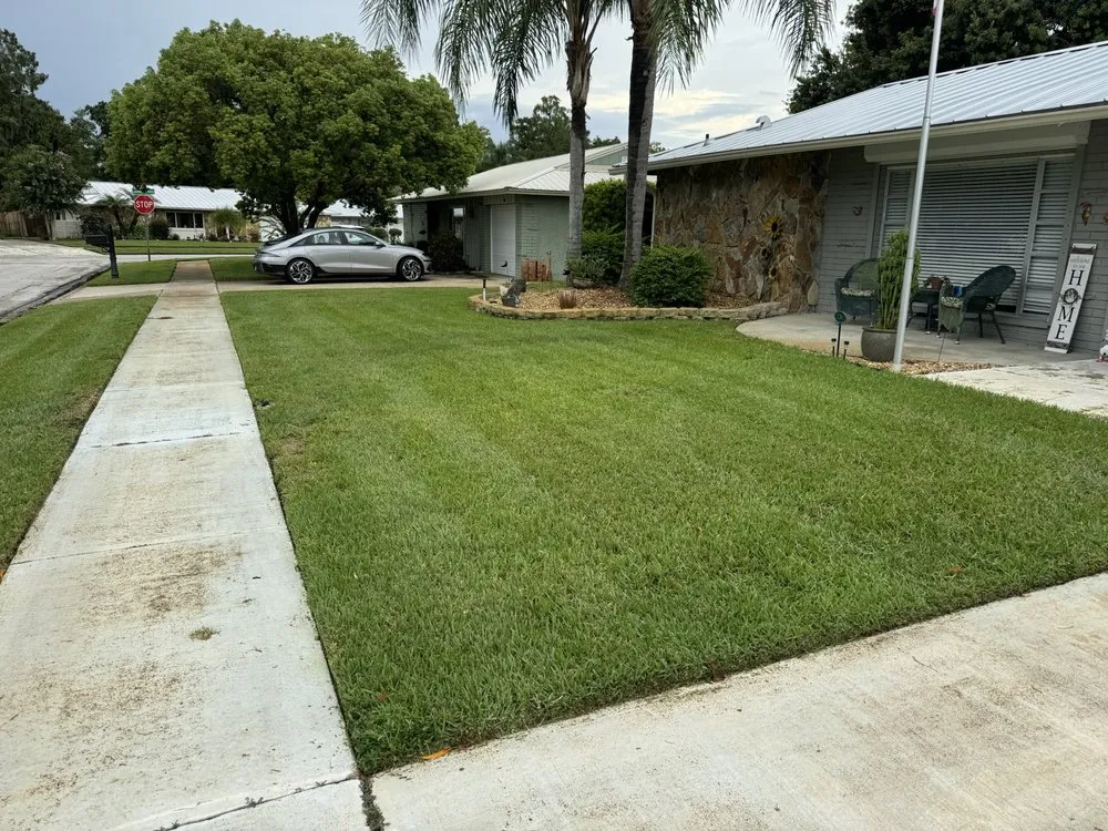 Expert yard maintenance for outdoor upgrades across Tampa Bay, FL - The Curb Appeal