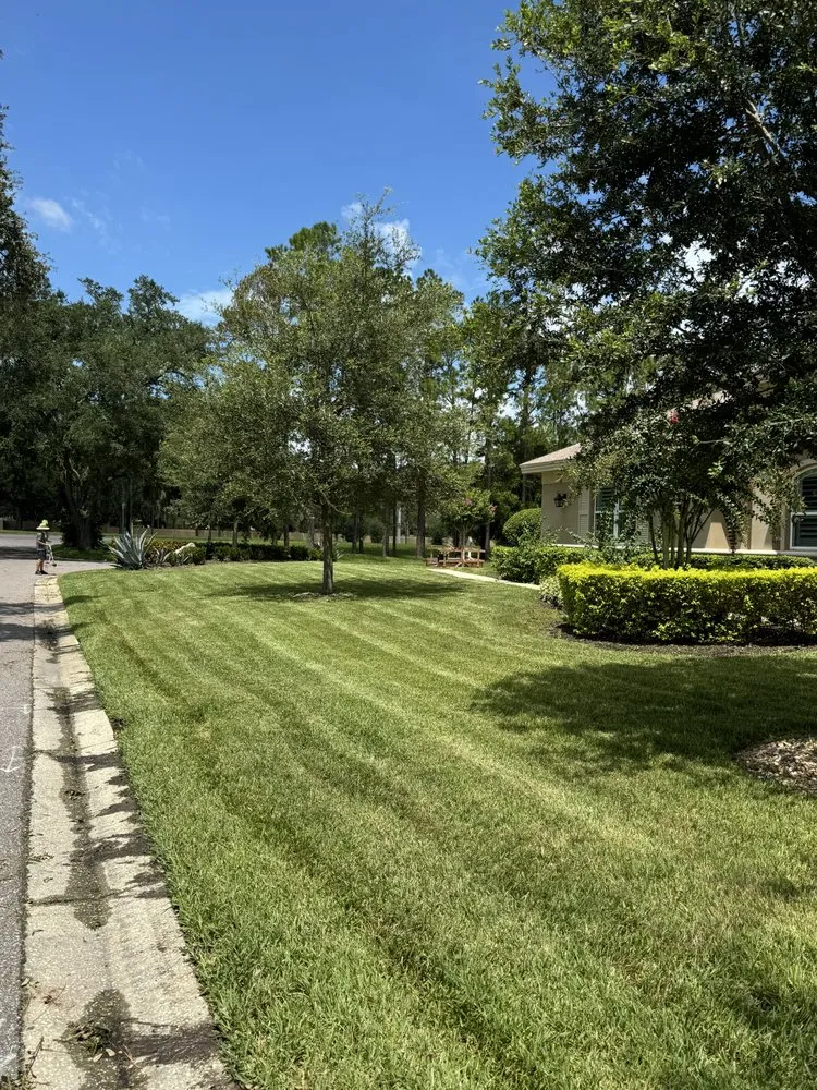 Professional lawn mowing service for outdoor upgrades across Tampa Bay, FL - The Curb Appeal