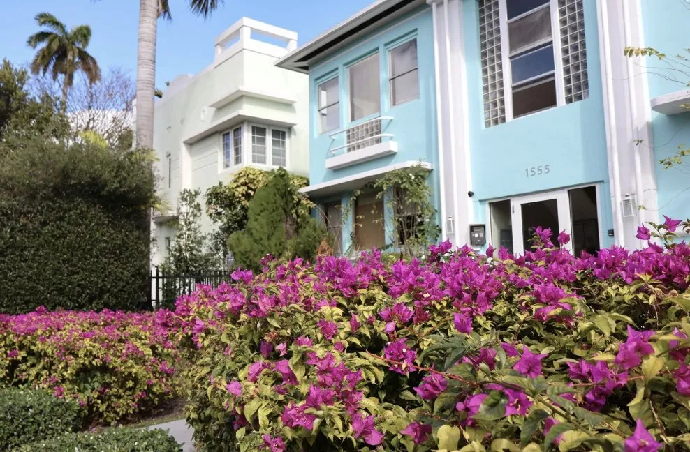 Top-rated yard cleanup service for homes across Tampa Bay, FL - The Curb Appeal