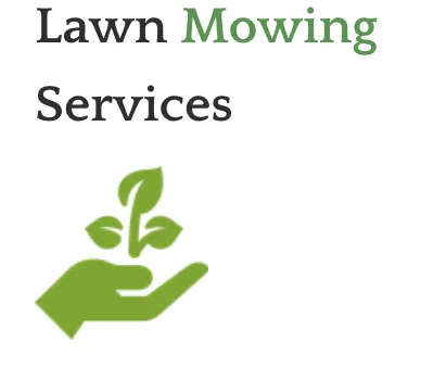 Top-rated landscape installation in Tampa Bay, FL by The Curb Appeal