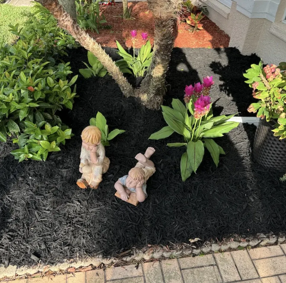 Expert landscape design for year-round maintenance across Tampa Bay, FL - The Curb Appeal