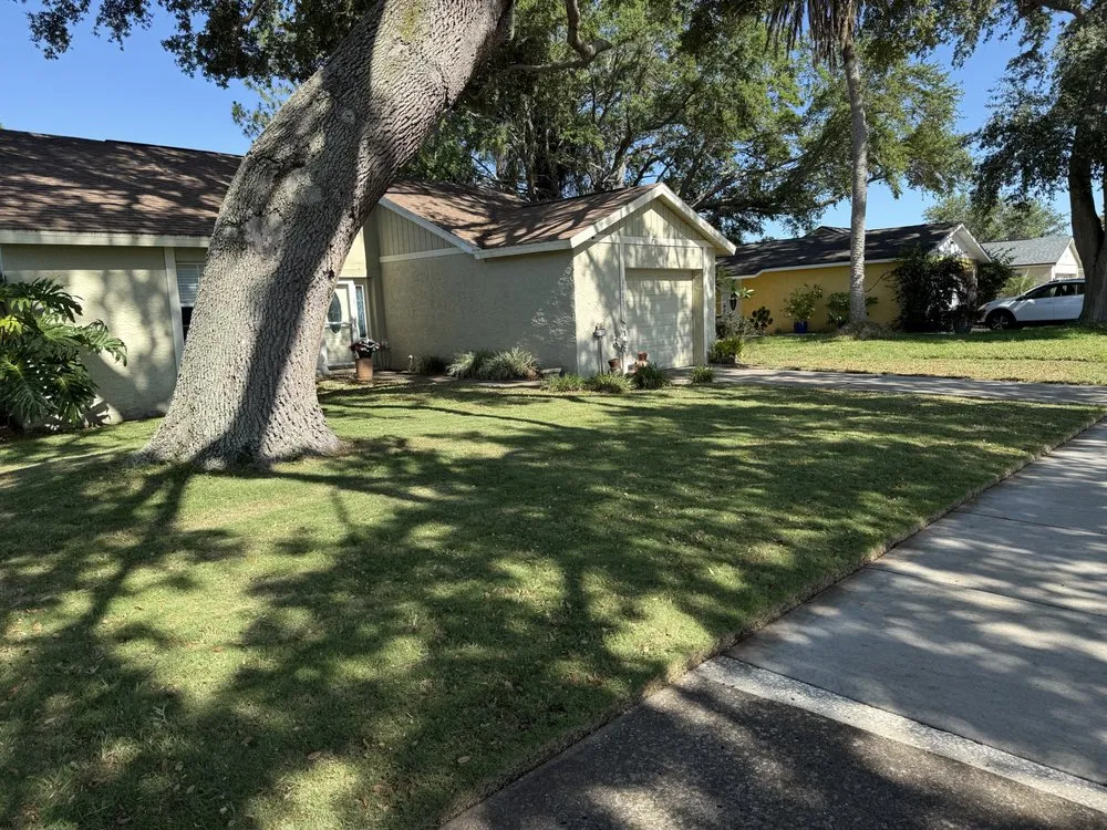 Professional lawn care service in Tampa Bay, FL - The Curb Appeal
