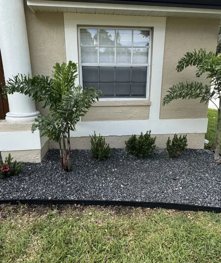 Expert yard maintenance in Tampa Bay, FL by The Curb Appeal