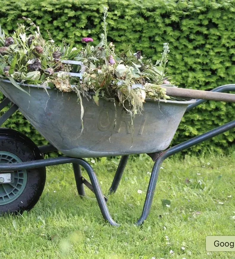 Local lawn care service near you across Tampa Bay, FL - The Curb Appeal