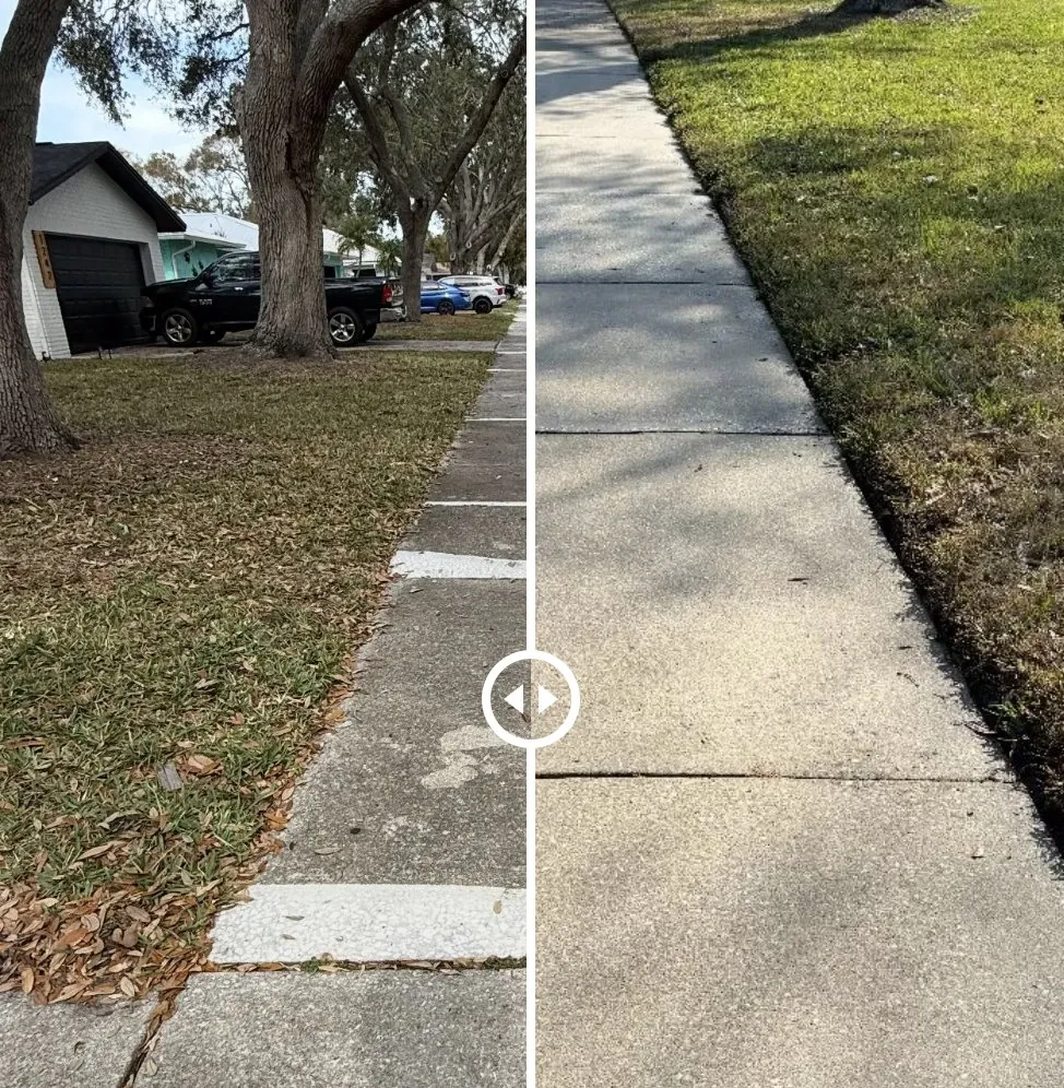 Professional lawn mowing service experts serving Tampa Bay, FL - The Curb Appeal