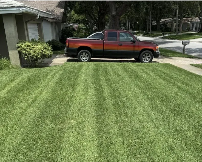 Trusted garden landscaping for residential properties in Tampa Bay, FL by The Curb Appeal