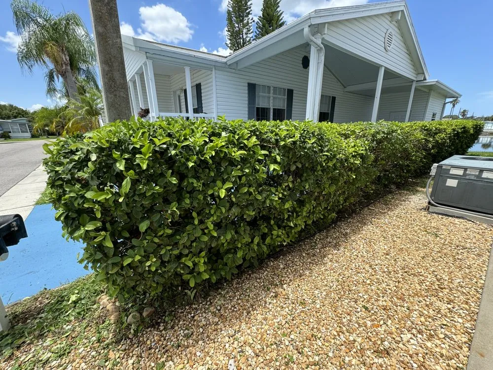 Local lawn mowing service near you across Tampa Bay, FL - The Curb Appeal