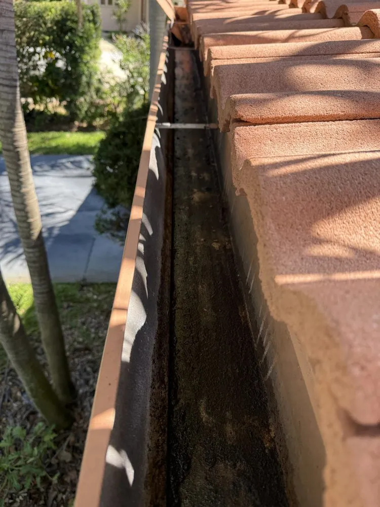 Trusted lawn care service for beautiful yards in Tampa Bay, FL by The Curb Appeal