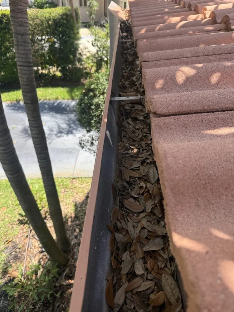 Trusted garden landscaping in Tampa Bay, FL - The Curb Appeal