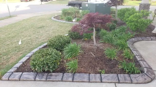 Professional yard cleanup service near you in Rockvale, TN by The Curbing Edge