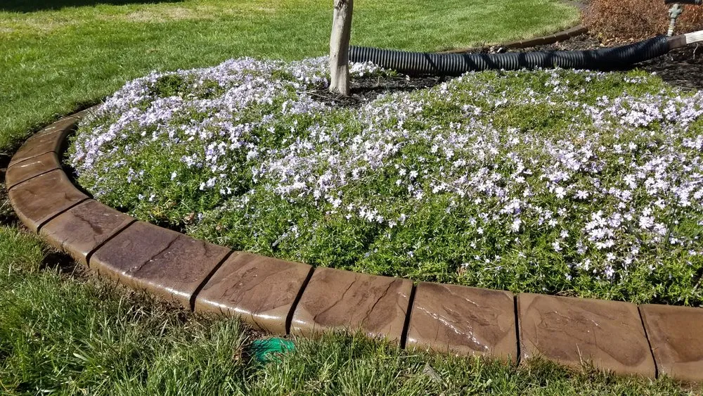 Affordable garden landscaping for residential properties in Rockvale, TN by The Curbing Edge