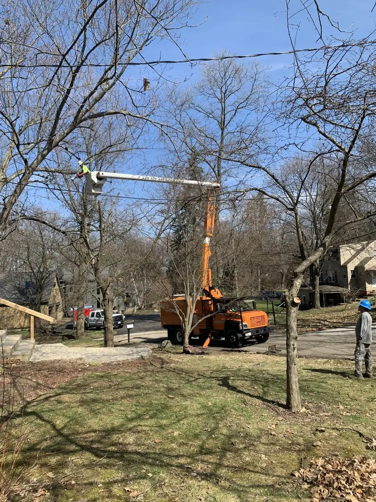 Top-rated garden landscaping for residential properties in Canton, OH by The Cure Tree Service