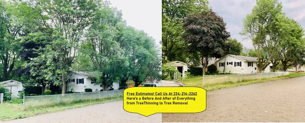Affordable landscaping services experts serving Canton, OH - The Cure Tree Service