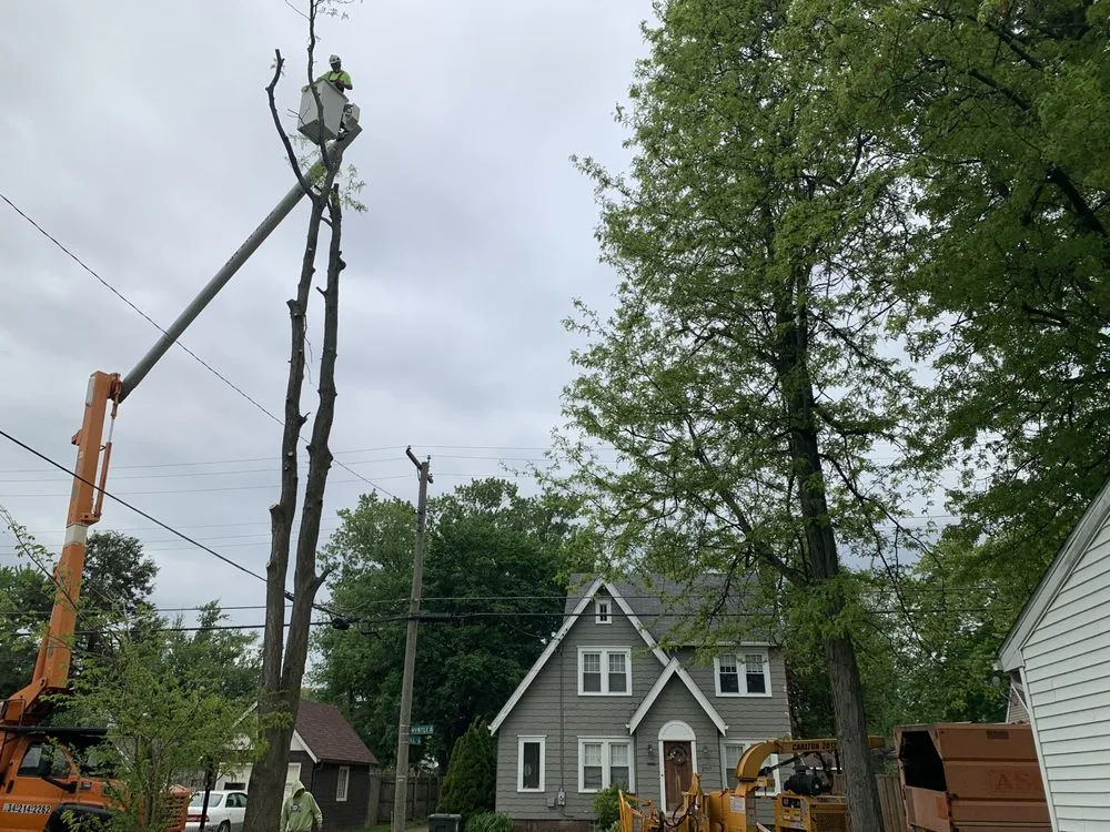 Professional garden landscaping experts serving Canton, OH - The Cure Tree Service