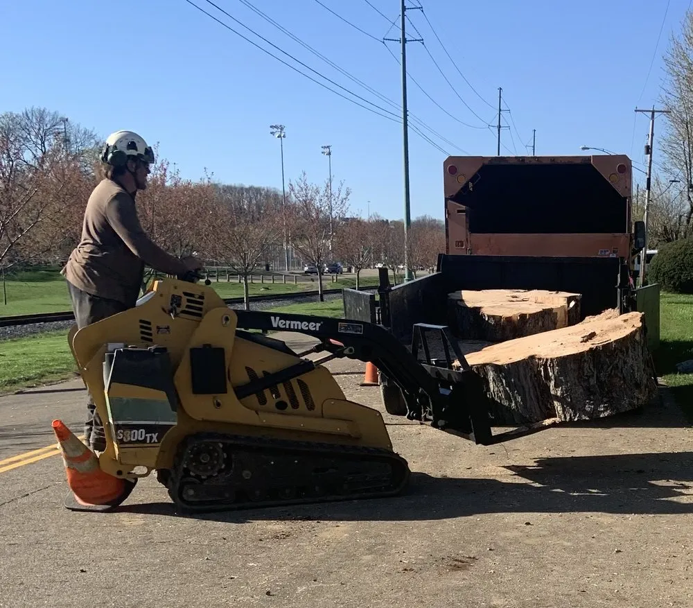 Trusted landscaping services for homes across Canton, OH - The Cure Tree Service