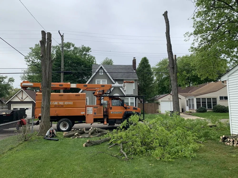 Trusted landscape installation experts serving Canton, OH - The Cure Tree Service