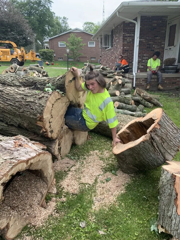 Reliable landscaping services experts serving Canton, OH - The Cure Tree Service