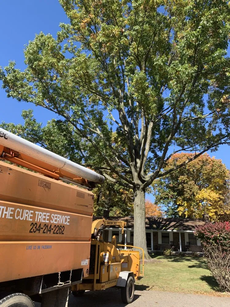 Custom landscape design experts serving Canton, OH - The Cure Tree Service