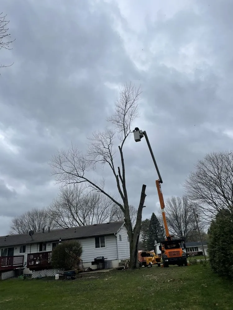 Affordable landscape installation in Canton, OH - The Cure Tree Service