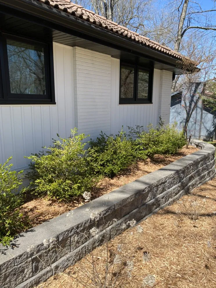 Expert yard cleanup service in Springfield, MO - The Cut 417