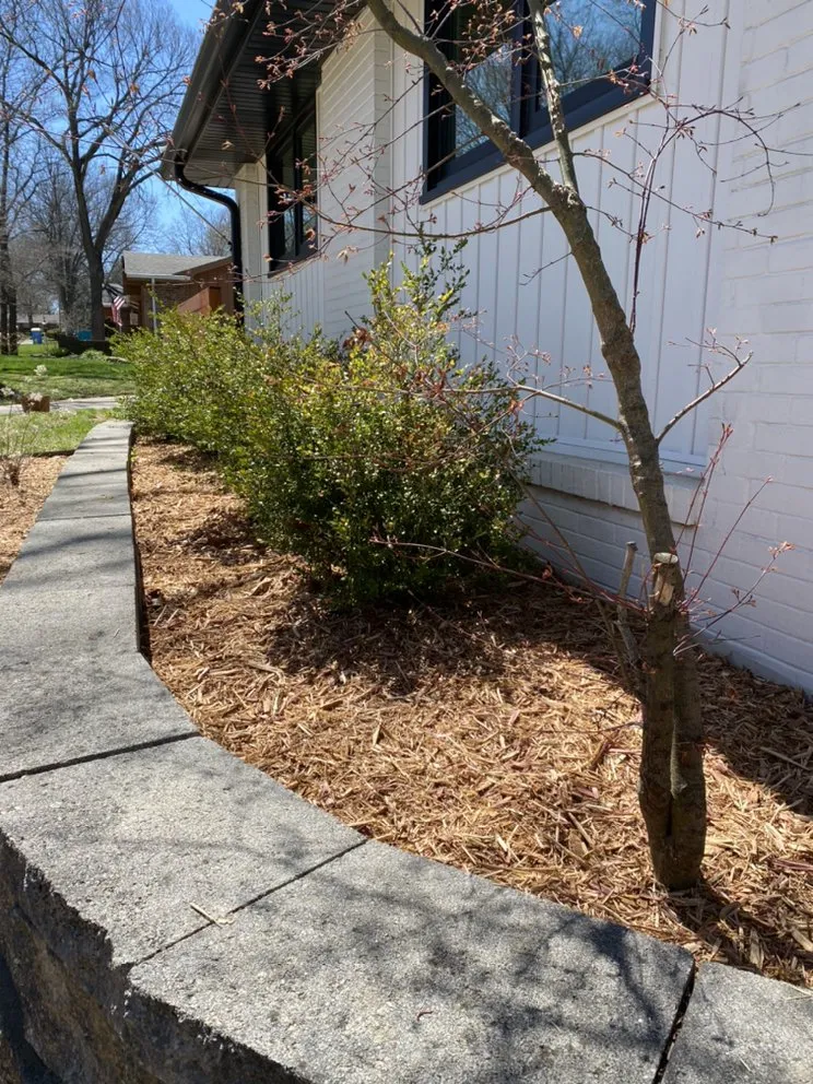 Trusted lawn mowing service experts serving Springfield, MO - The Cut 417