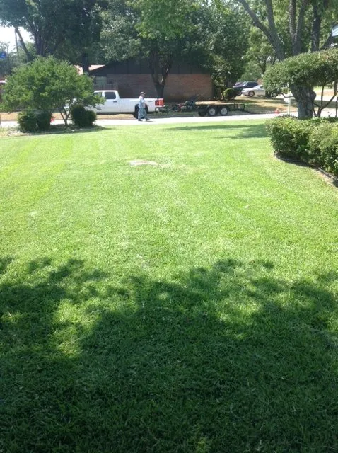 Expert landscaping services for outdoor upgrades in Arlington, TX by The Cut Above