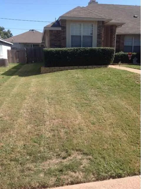 Trusted landscape design for year-round maintenance in Arlington, TX by The Cut Above