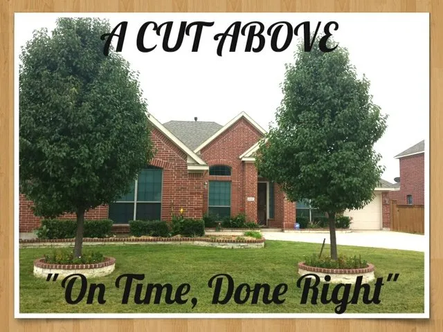 Top-rated garden landscaping in Arlington, TX by The Cut Above