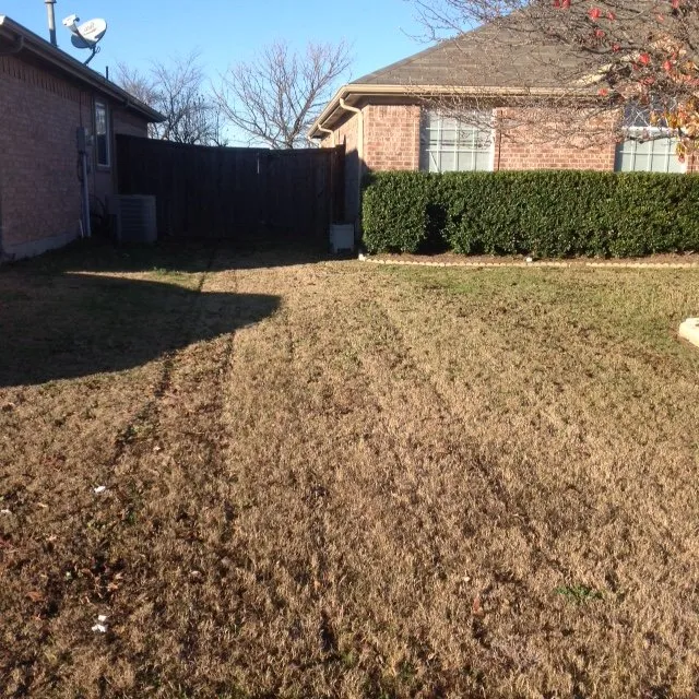 Expert outdoor landscaping for residential properties in Arlington, TX by The Cut Above