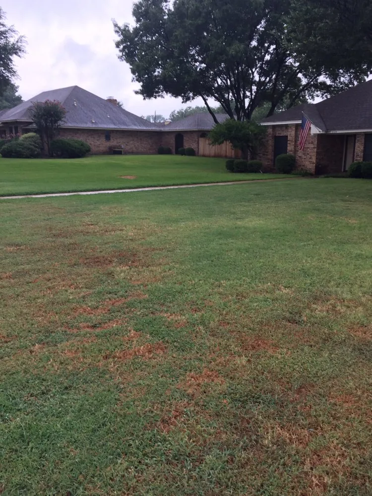 Reliable garden landscaping for residential properties across Arlington, TX - The Cut Above