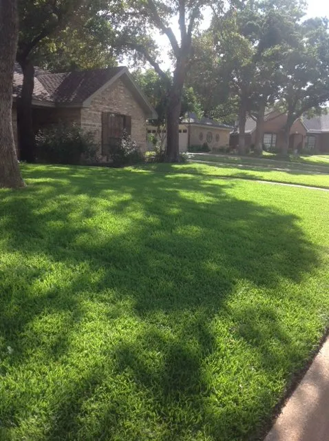 Top-rated yard cleanup service for outdoor upgrades in Arlington, TX by The Cut Above