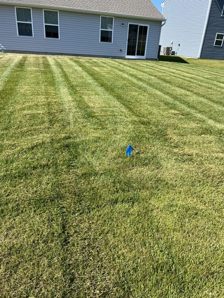 Affordable yard cleanup service in Delmar, DE - The Cut Above Lawn Care