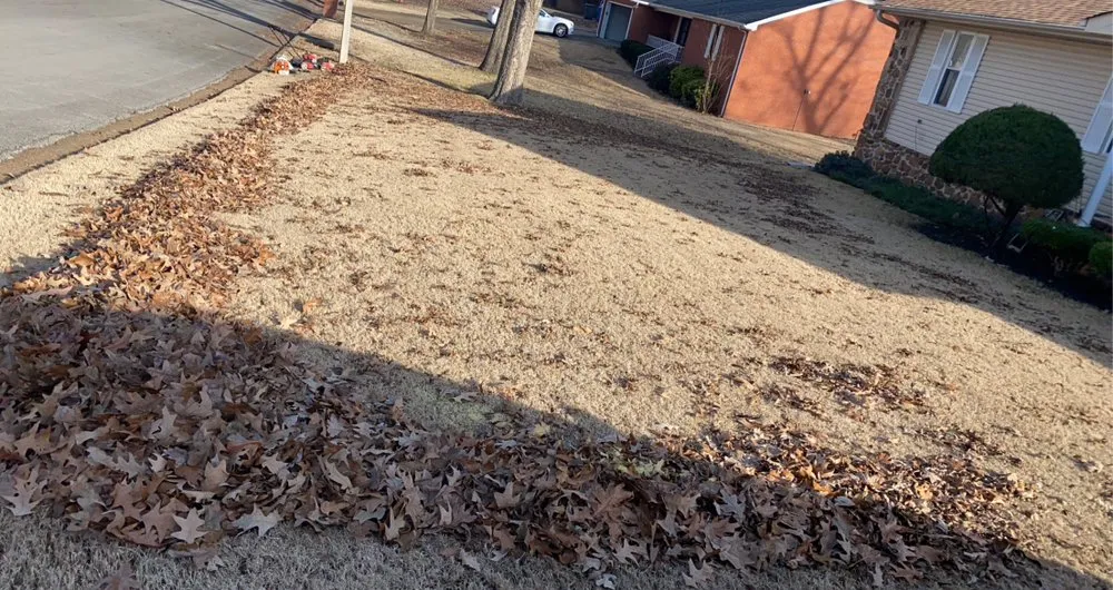 Reliable yard maintenance in Jonesboro, AR - The Cut My Lawnogist