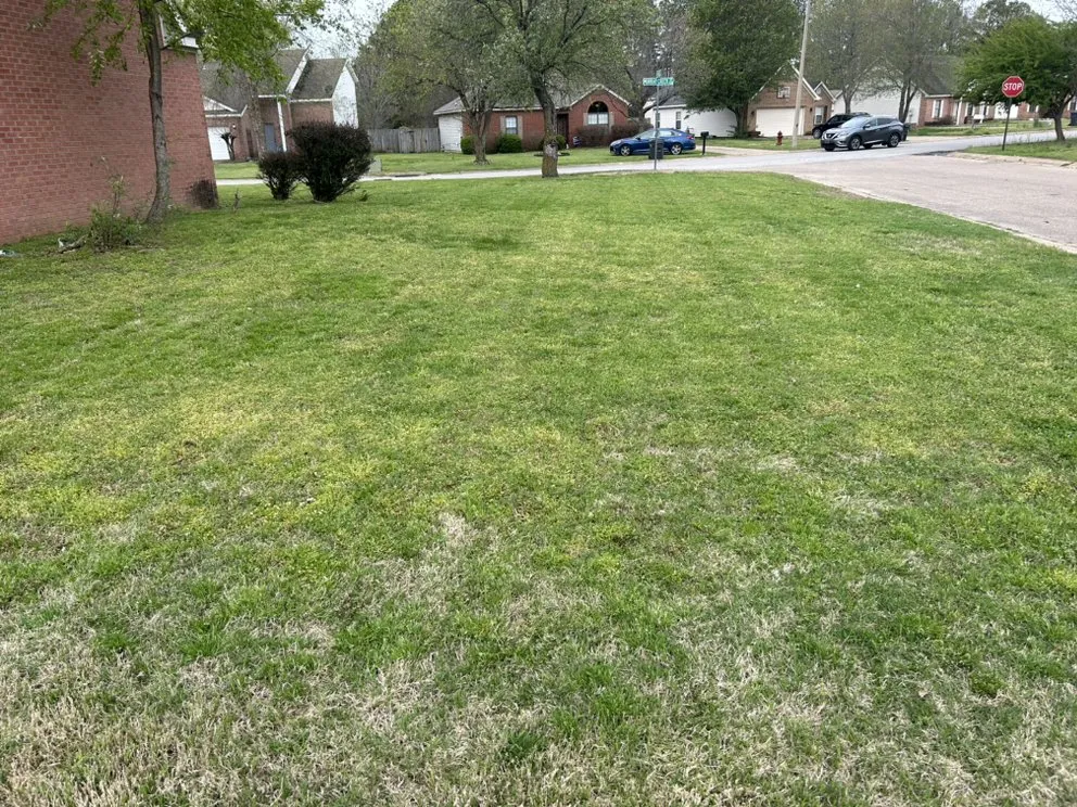 Professional landscaping services in Jonesboro, AR - The Cut My Lawnogist
