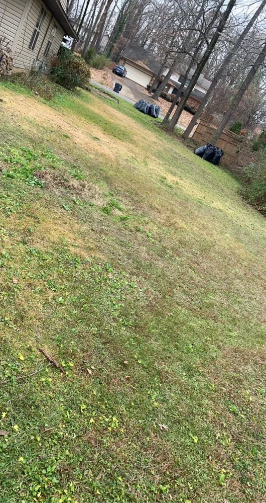 Trusted landscaping services in Jonesboro, AR - The Cut My Lawnogist