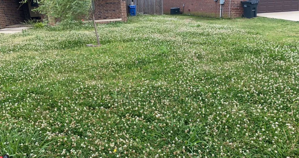 Professional landscape installation for beautiful yards in Jonesboro, AR by The Cut My Lawnogist