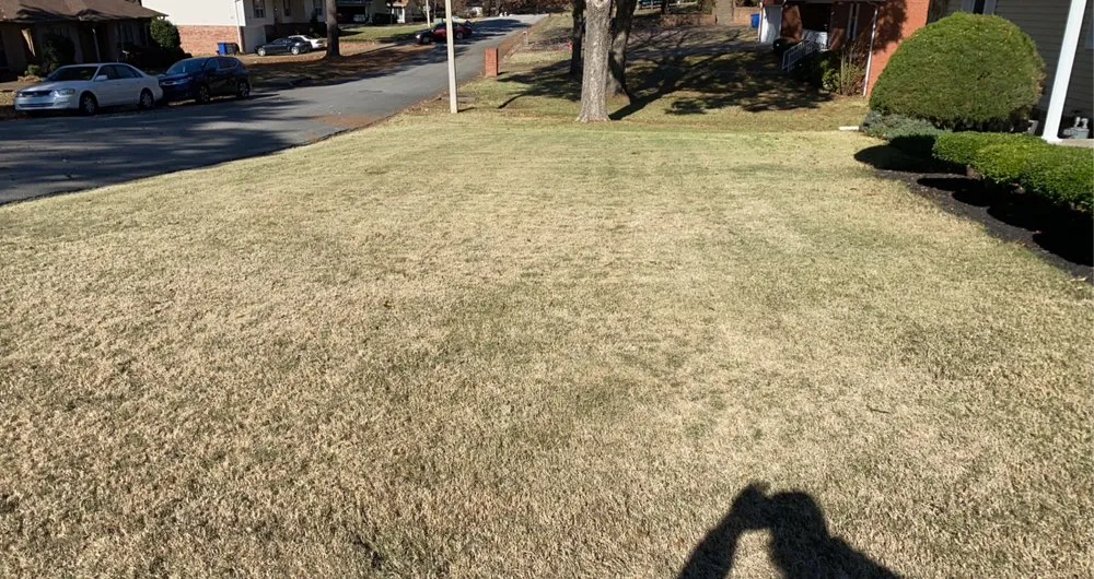 Local residential landscaping for year-round maintenance across Jonesboro, AR - The Cut My Lawnogist