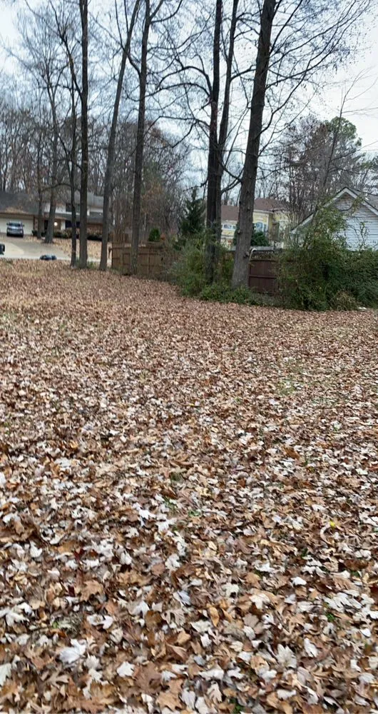 Affordable landscape design in Jonesboro, AR by The Cut My Lawnogist