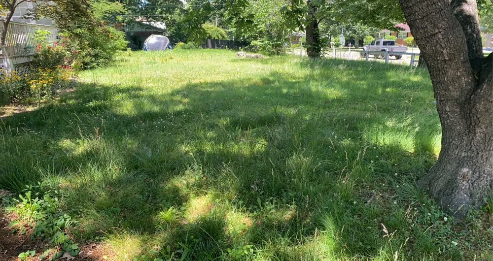 Custom outdoor landscaping experts serving Jonesboro, AR - The Cut My Lawnogist