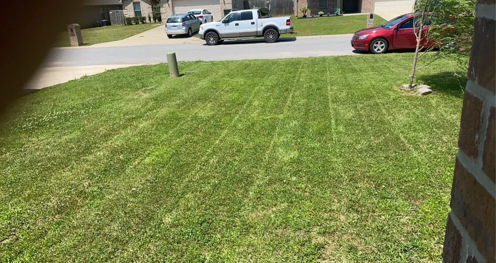 Trusted yard maintenance in Jonesboro, AR - The Cut My Lawnogist
