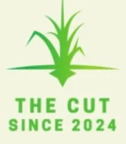 Affordable lawn care service experts serving Ozark, MO - The Cut