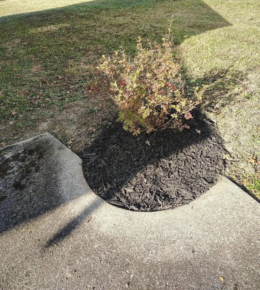 Top-rated garden landscaping in Youngstown, OH by The Cutter Family