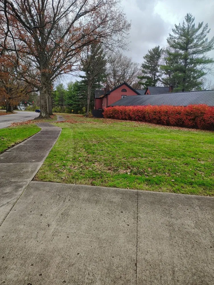 Top-rated yard cleanup service for residential properties in Youngstown, OH by The Cutter Family